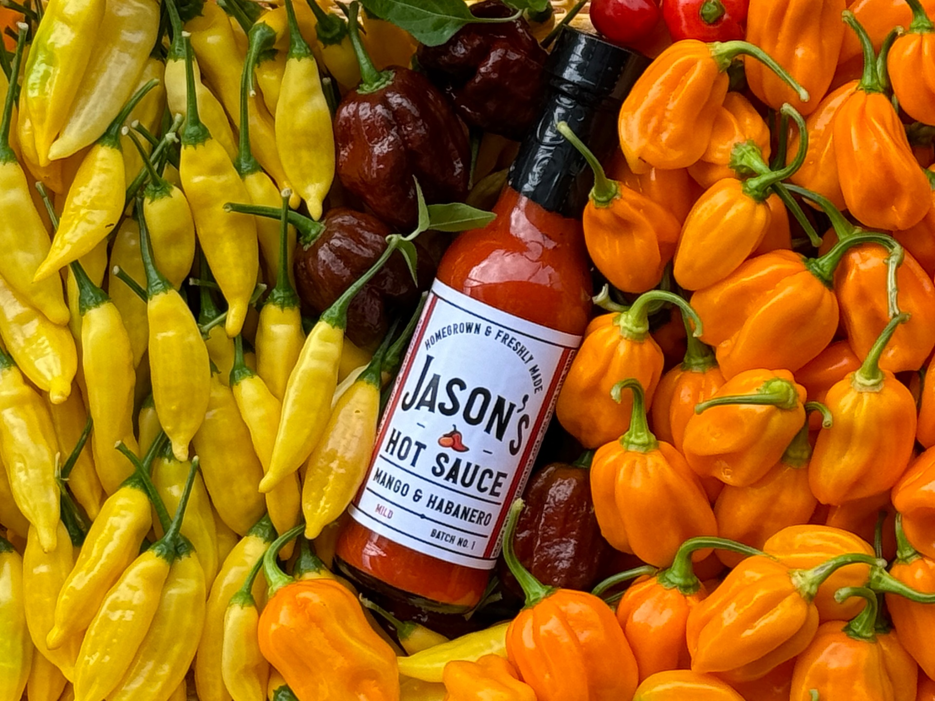 Fresh Australian chillies